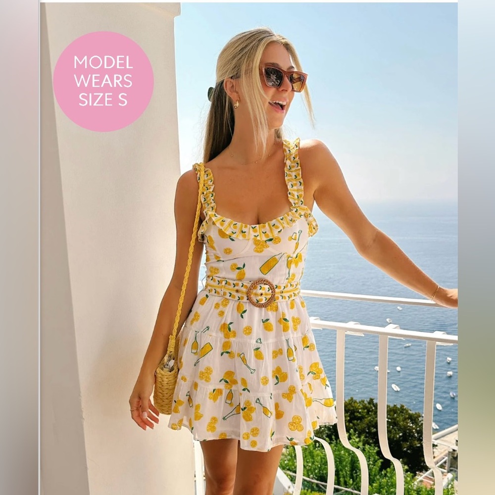 Show Me Your MuMu Jolene Mini Dress